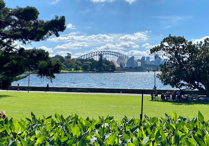 View across the harbour from the Royal Botanic Garden to the Sydney Opera House and Harbour Bridge