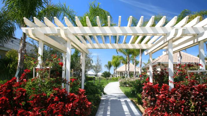White timber pergola over a garden pathway